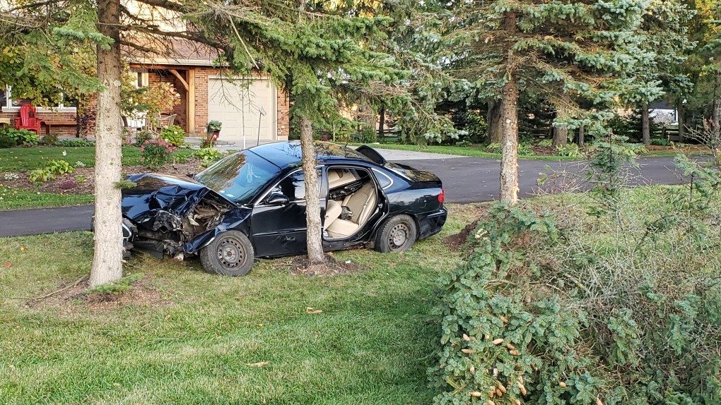 آیا بیمه خودرو خسارت برخورد با درخت را پوشش می‌دهد؟