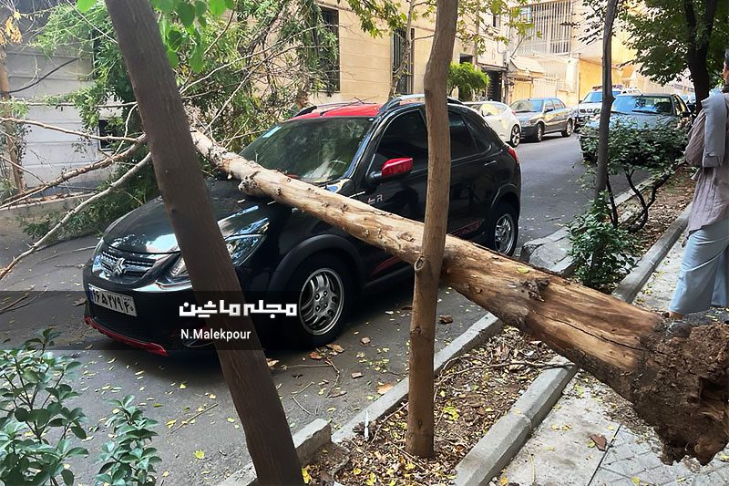 سقوط درخت بر روی خودروی پارک شده در خیابان شهید قندی تهران سقوط درخت بر روی خودروی پارک شده در خیابان شهید قندی تهران