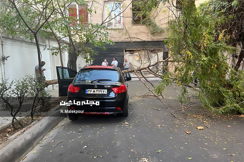 سقوط درخت بر روی خودروی پارک شده در خیابان شهید قندی تهران سقوط درخت بر روی خودروی پارک شده در خیابان شهید قندی تهران