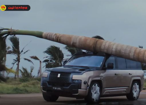 سقوط سه‌باره یک درخت نخل ۴۳ متری روی Yangwang U8