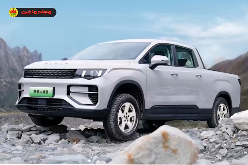 جیلی ریدارا